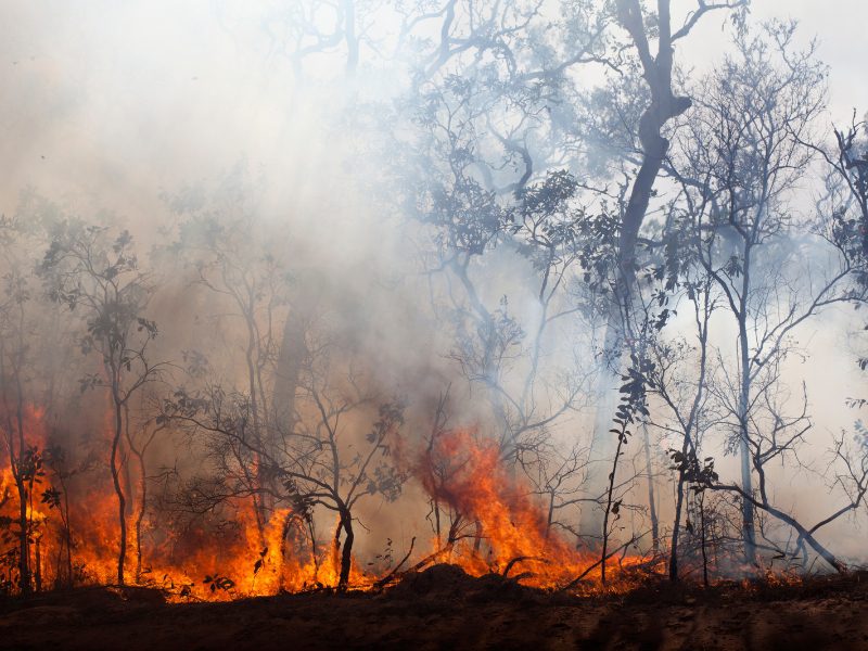 RFS-Fires-Near-Me-webpage